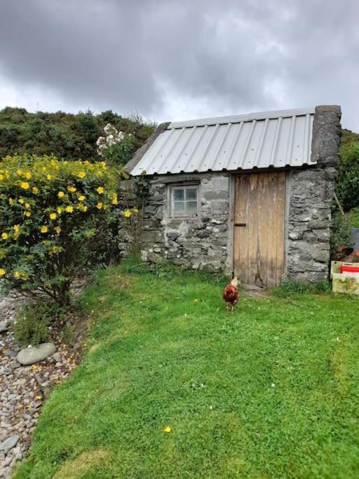 4 Bedroom Traditional Irish Farm House Killybegs 도니골 외부 사진